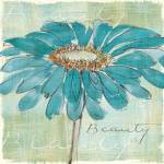 Spa Daisies I by Chris Paschke