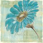 Spa Daisies II by Chris Paschke