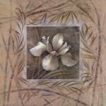 Spa Iris by Elaine Vollherbst-Lane