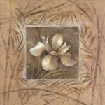 Spa Iris by Elaine Vollherbst-Lane
