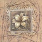 Spa Lily by Elaine Vollherbst-Lane