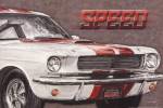 Speed by John Ward