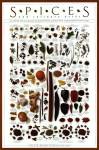 Spices and Culinary Herbs by Ziegler/Keating