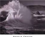 Splash by Dennis Frates