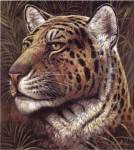 Spotted Beauty by Ruane Manning