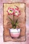 Spring Amaryllis by Abby White