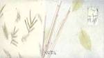 Spring Bamboo by Deborah Roundtree