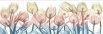 Spring Blooms by Albert Koetsier
