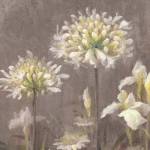 Spring Blossoms Neutral III by Danhui Nai