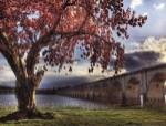 Spring in Harrisburg by Lori Deiter