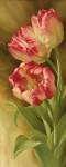 Spring's Parrot Tulip II by Igor Levashov