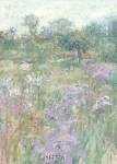 Spring Serenade by Haibin Miao
