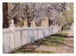 Spring Walk by David Coolidge