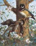 Spring (Wood Ducks) by Gerald Merfeld