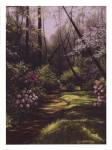 Spring Woods by Lene Alston Casey