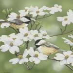 Springtime And Chickadees by William Vanderdasson