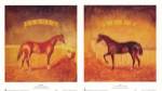 Stable Life (Set of Two) by Thomas LaDuke