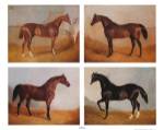 Stable Mates (Set of Four) by Benjamin Herring