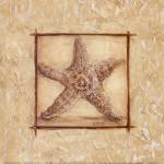 Starfish by Kate McRostie