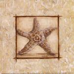 Starfish by Kate McRostie