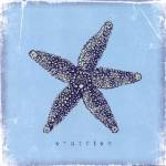Starfish by Stephanie Marrott