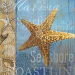 Starfish and sea by Art Licensing Studio