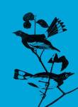 Starlings by George Dilorenzo