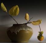Still Life with Persimmon by Geoffrey Ansel Agrons
