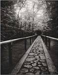 Stone Path by Jeff Zaruba