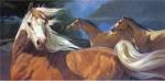 Storm Chasers by Carolyne Hawley
