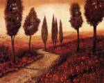 Strada Tra I Papaveri by Guido Borelli