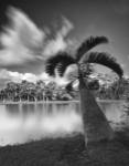 Strange Oasis by Geoffrey Ansel Agrons