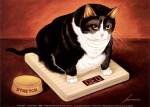 Stretch Kelley by Lowell Herrero