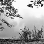 Strictly Fog by Harold Silverman