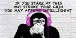 Stroke your Chin by Masterfunk Collective