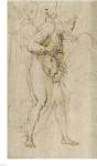 Studies for the Disputa by Raphael