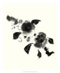 Studies in Ink - Camellia by Nan Rae