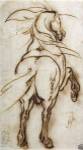 Study of a Rearing Horse by Jacques Callot