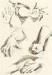 Study of Hands by Denis Diderot
