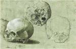 Study of Three Skulls by Albrecht Durer