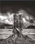Stumped (16 x 20) by Thomas Barbey