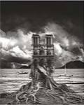 Stumped by Thomas Barbey
