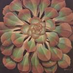 Succulent II by Janet Kruskamp