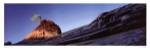 Sue Drinker - Weeping Pine Size 15x38 by Susan Drinker