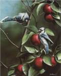 Summer Blue Jays by Kevin Daniel