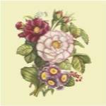 Summer Bouquet IV by Megan Meagher
