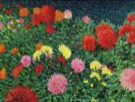 Summer Flowers by Kevin Dodds