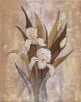 Summer Iris II by Laurie Fields