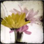 Summer Memory I by Ingrid Blixt