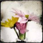 Summer Memory II by Ingrid Blixt
